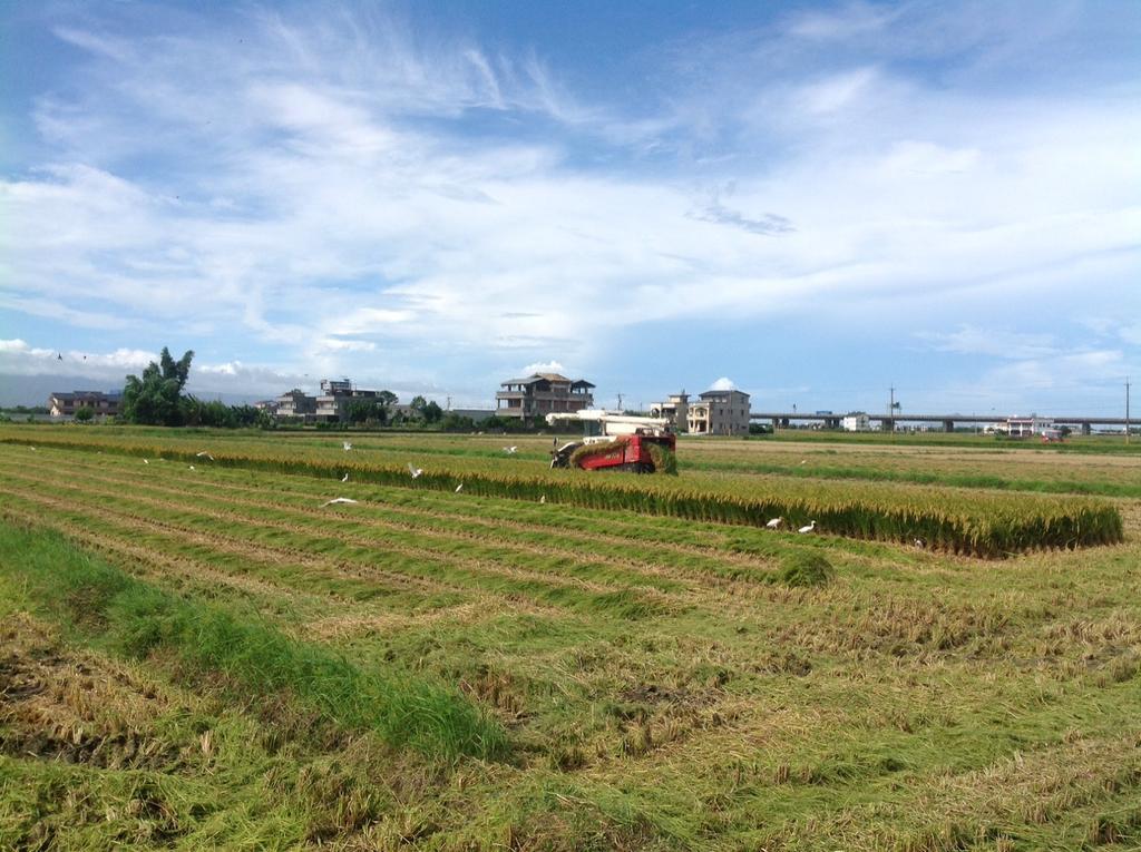 Countryside B&B Zhuangwei Exterior photo